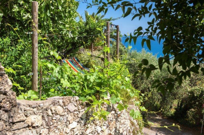 ホテルAgriturismo La Selva フィナーレ・リーグレ エクステリア 写真