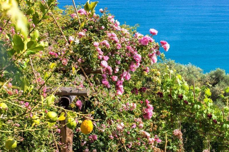 ホテルAgriturismo La Selva フィナーレ・リーグレ エクステリア 写真
