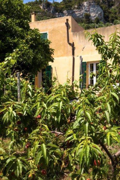 ホテルAgriturismo La Selva フィナーレ・リーグレ エクステリア 写真