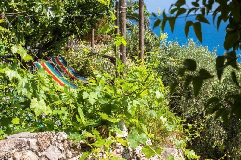 ホテルAgriturismo La Selva フィナーレ・リーグレ エクステリア 写真