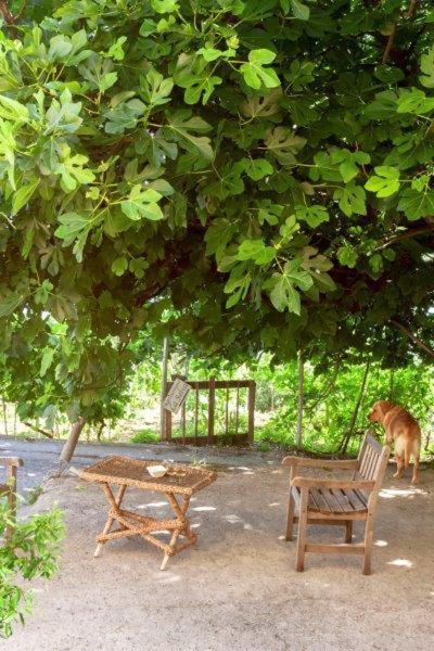 ホテルAgriturismo La Selva フィナーレ・リーグレ エクステリア 写真